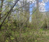 ОСЗ 3358 кв м ул Кольцова, 2А