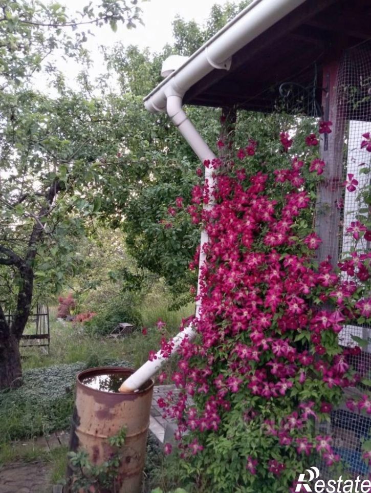 Коттедж/дом