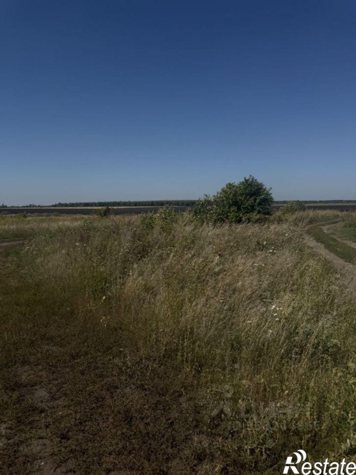 Земельный участок Воронеж, Подклетненская улица
